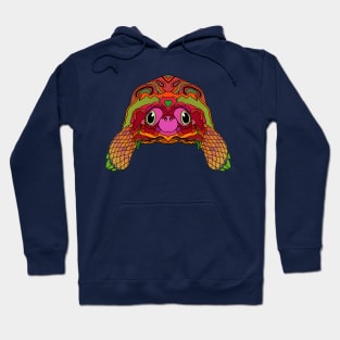 Happy Tortoise in Bright colors Hoodie